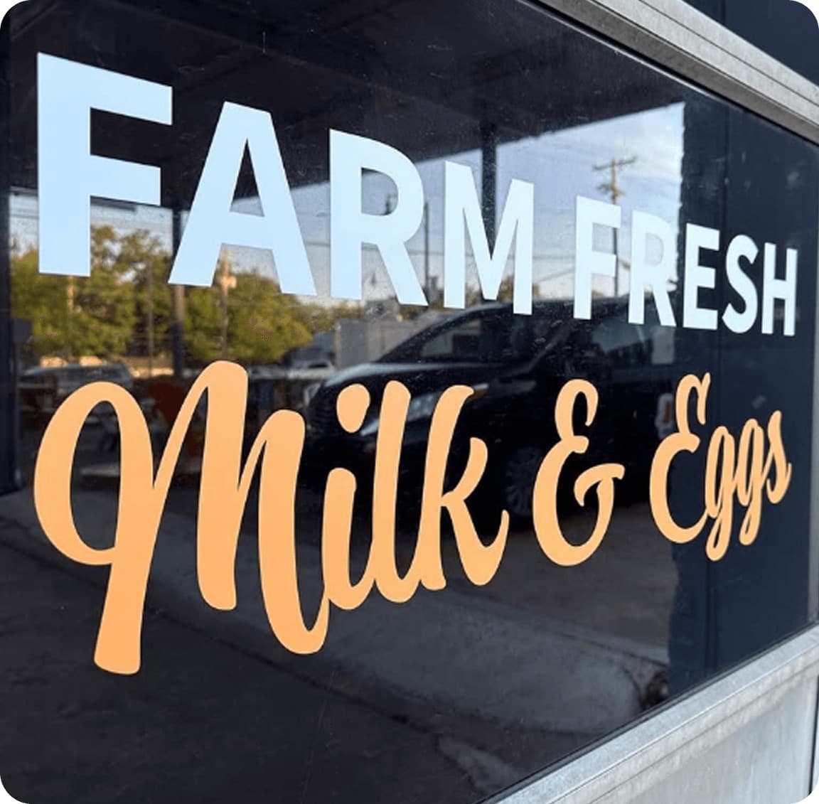 Custom vinyl lettering transfer-applied to a storefront window