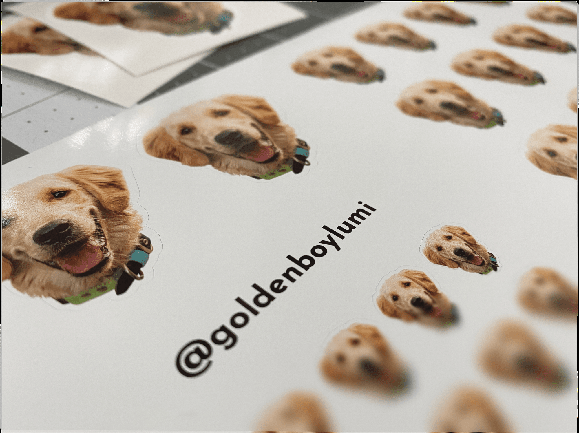 Custom pet face stickers of a dog
