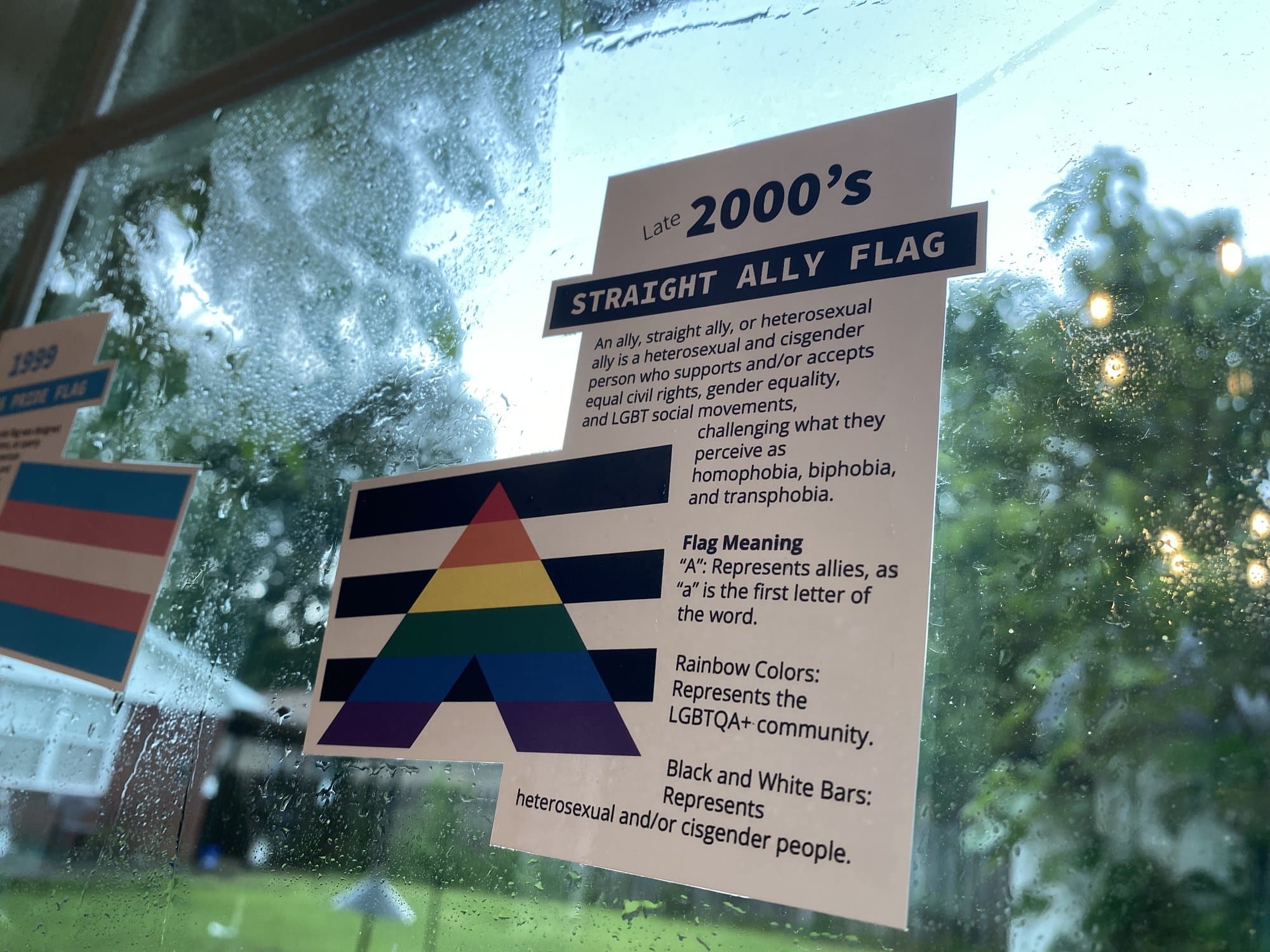 A Straight Ally Flag history cling on a rain-speckled window